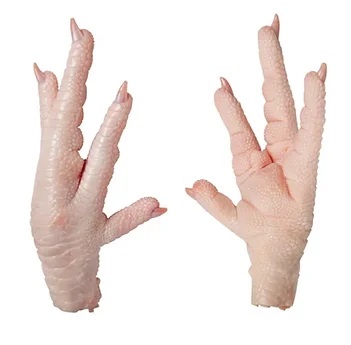 Frozen Chicken Paws