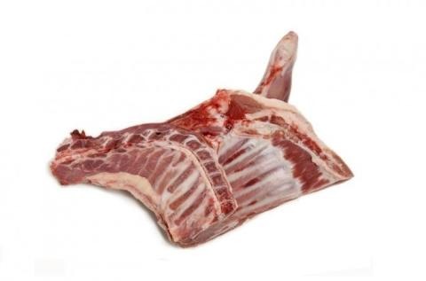 Lamb or sheep forequarter