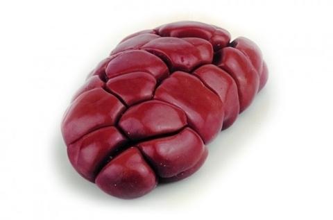 Beef kidney