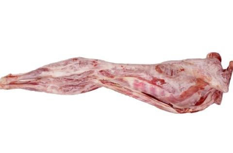 Lamb or sheep carcass