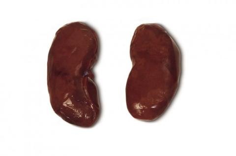 Pork kidney