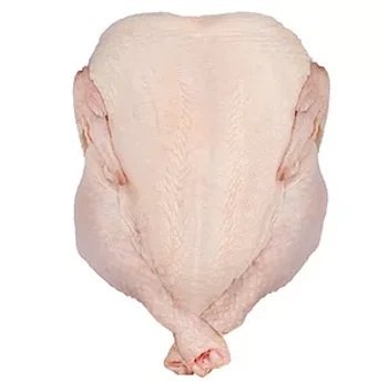 frozen whole chicken exporter